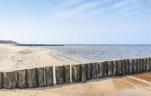 En strand ved eller i nærheten av leiligheten