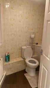 a bathroom with a white toilet and a shower at Evanelly lodge in Gillingham