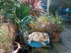 Ospiti di MYSaintAubin con animali domestici