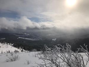 Príroda v okolí apartmánu