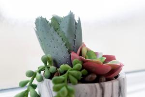 Foto sihtkohas Darlington asuva majutusasutuse Comfy and homely ideal for families and contractors hosted by Our Home Short Stays fast WiFi and crisp white hotel standard linen galeriist