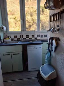een keuken met een wastafel en een toilet en twee ramen bij Beau appartement en résidence in Eaux-Bonnes