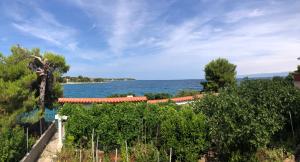 a view of the ocean from a vineyard at Villa Mimy in Ugljan