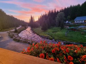 Paesaggio naturale nelle vicinanze dell'affittacamere