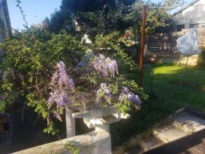 Vonkajšia záhrada v ubytovaní Studio Buena Vista avec terrasse sur jardin