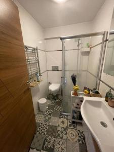 La salle de bains est pourvue d'une douche, de toilettes et d'un lavabo. dans l'établissement Terrace Flat in the Kadikoy Center, à Istanbul