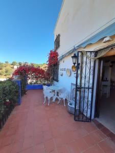 Fotografie z fotogalerie ubytování Cortijuelo House v Malaze