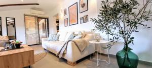 a living room with a white couch and a vase with a plant at Home Andrea with infinity salty pool in Roč +48 photos