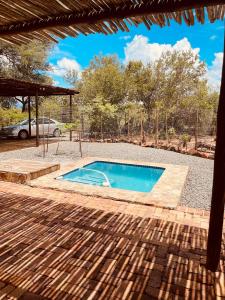 a swimming pool in the middle of a yard at Ingwe Bush Lodge in Hoedspruit