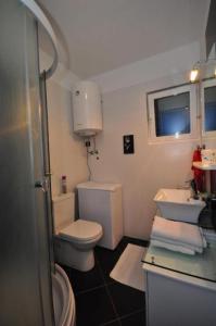 a bathroom with a toilet and a sink at Apartments Njoko - sea view in Prvić Šepurine
