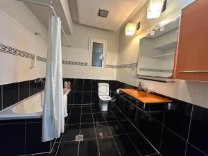 ein Badezimmer mit einem Waschbecken, einer Badewanne und einem WC in der Unterkunft Golden Coast Panagias Apartment in Volos