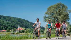 un grupo de personas montando bicicletas por un camino en Marga`s Ferienwohnung, en Lembach im Mühlkreis