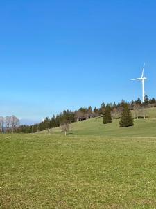 un campo verde con un mulino a vento sullo sfondo di Bienvenue chez les Quadeurs 