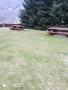 two benches sitting in a field of grass at residence orione in Caspoggio