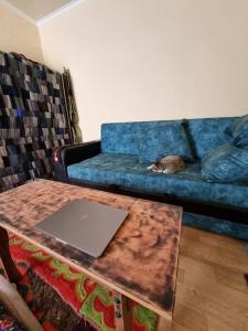 Un gato acostado en un sofá con una computadora portátil sobre una mesa. en Домик Светланы Ильиничны, en Kaji-Say