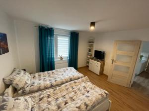 a bedroom with a bed and a window and a door at Apartament MONABERG in Łomnica