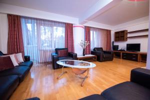 ein Wohnzimmer mit Sofas und einem Couchtisch in der Unterkunft Cozy Apartment in Suceava in Suceava