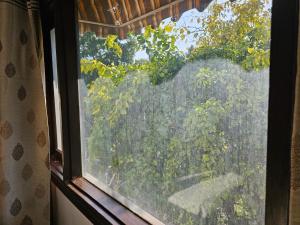 a window with a view of a forest at Spacious 2bhk apartment! in New Delhi