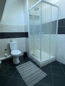 een badkamer met een toilet en een glazen douche bij Aux portes de Beauval in Contres