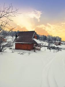 brvnare in v zimě