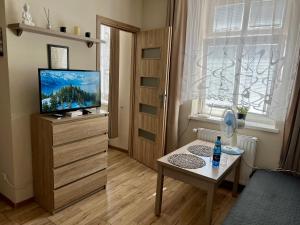 Televízia a/alebo spoločenská miestnosť v ubytovaní Apartamenty W Brzozowym Gaju