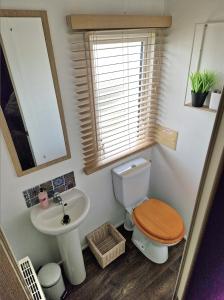 een badkamer met een toilet, een wastafel en een spiegel bij The Oyster Shell in Whitstable