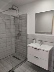 y baño con ducha, lavabo y espejo. en Apartament za lasem, en Kaliska Kośierskie