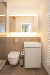 a bathroom with a toilet and a sink and a mirror at Stylish apartment with free BaselCard in Basel