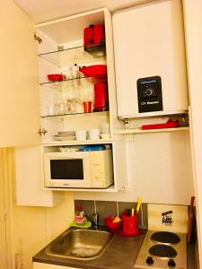 a small kitchen with a sink and a microwave at Studio Quartier Latin in Paris