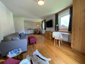 Televízia a/alebo spoločenská miestnosť v ubytovaní Apartments Hohenberger Mallnitz - Mein Platz in den Bergen!