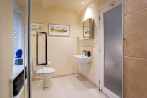 a bathroom with a toilet and a sink and a shower at Garn Yam Cottage in Ambleside