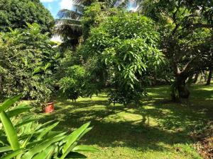 Zahrada ubytování F3 dans maison individuelle avec jardin arboré