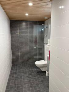 a bathroom with a shower and a toilet in it at Modern 1 bedroom apartment with a patio in Turku