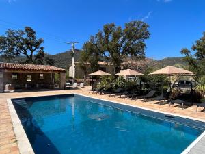 a swimming pool with chairs and umbrellas at Domaine du Reginu in Santa-Reparata-di-Balagna