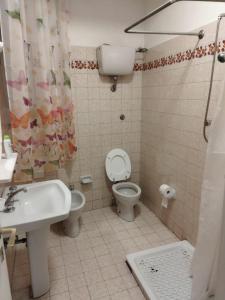ein Bad mit einem WC, einem Waschbecken und einer Dusche in der Unterkunft Zara House in CastellʼAzzara