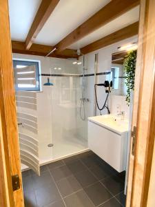 a bathroom with a shower and a sink at Zeepark Mercator in Wenduine