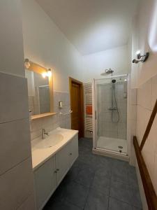 a bathroom with a shower and a sink at Auberge des Sauterelles in Sermersheim +67 photos
