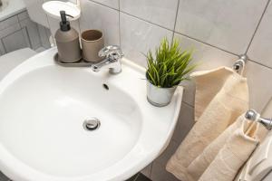 Un lavabo de baño con una planta en una maceta encima. en Kurzzeitglück 24h Self Check-In MG01, en Mönchengladbach 16 fotos más