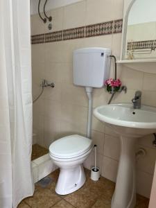 bagno con servizi igienici e lavandino di Garden Vila a Vrnjačka Banja