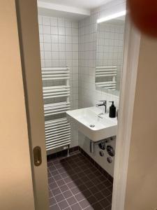 a bathroom with a white sink and a mirror at La Sauvage in Fribourg