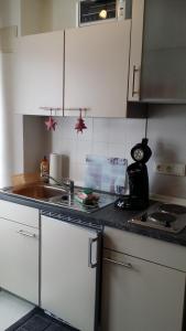 cocina con fregadero y encimera en Apartment Gosch an der Skiwiese, en Braunlage