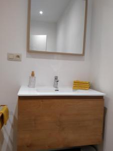 een badkamer met een wastafel en een spiegel bij 'Nulle Part Ailleurs' in Dinant