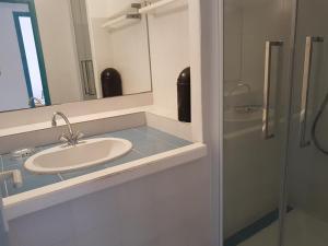 een badkamer met een wastafel, een spiegel en een douche bij ST CYPRIEN D29 -4/5 pers- à 250m de la plage de sable Saint Cyprien in Lecci