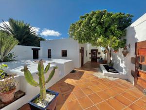 un patio con cactus y plantas en una casa en Stylish getaway with secluded Patio in lava Finca, en Uga