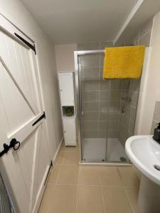 a bathroom with a shower and a sink at The Hive in South Molton