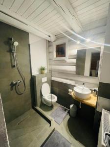 a bathroom with a toilet and a sink at Cabana din Groapa Frumoasa in Râşnov