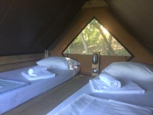 2 camas blancas en una habitación con ventana en Agricamping La Gallinella, en Castagneto Carducci