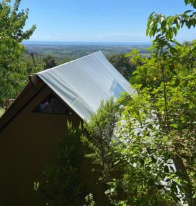 namiot z panelem słonecznym na szczycie drzew w obiekcie Agricamping La Gallinella w mieście Castagneto Carducci
