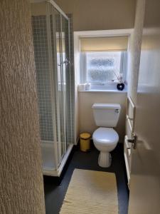 ブラックプールにあるThe New Sandygate Holiday Flatsの小さなバスルーム(トイレ、窓付)が備わります。