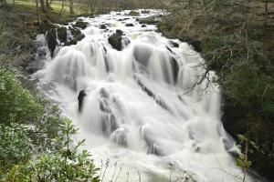 een waterval in het bos met sneeuw erop bij Eagles View Private Cottage - Betws Y Coed in Betws-y-coed